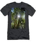 Forest Trees With Sun In Canopy T-Shirt