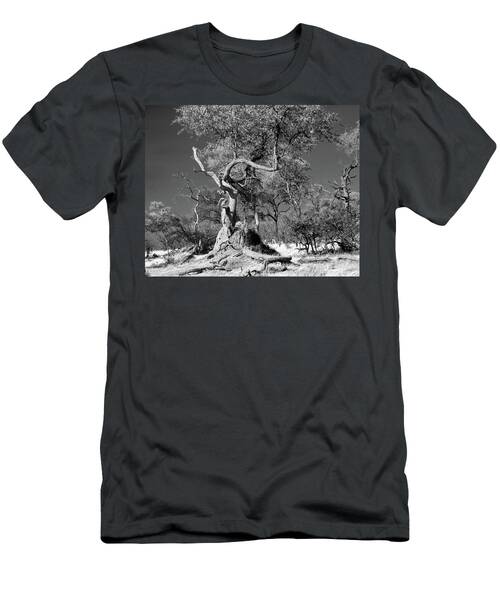 Giant Tree In Botswana Africa Forest In Black And White T-Shirt