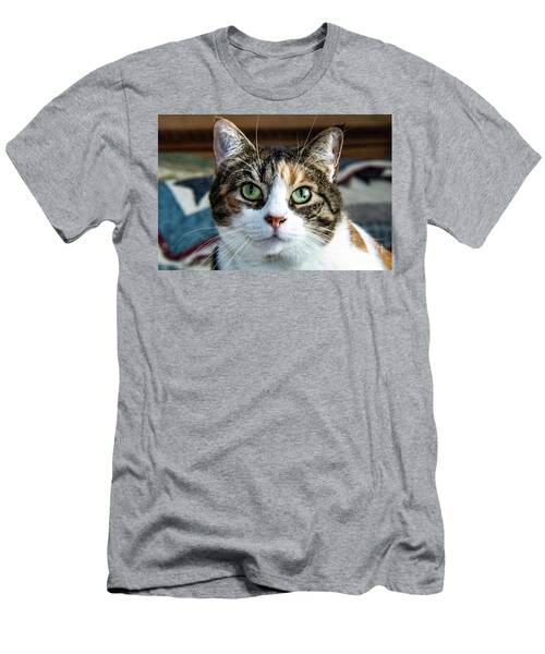 Ginger Cat T-Shirt