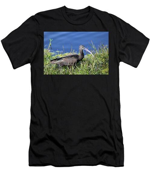 Glossy Ibis Orlando Wetlands Florida T-Shirt