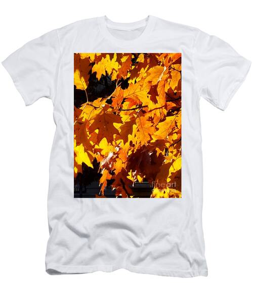 Golden Leaves In Providence, Rhode Island T-Shirt