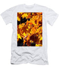 Golden Leaves In Providence, Rhode Island T-Shirt