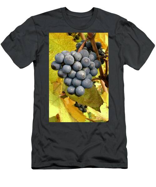 Grapes On Vine T-Shirt