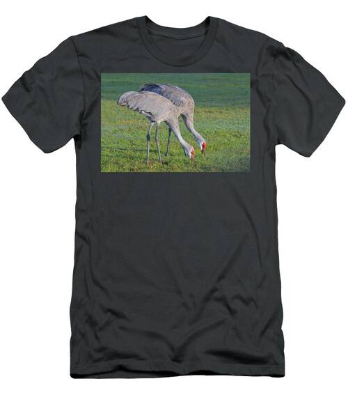 Grazing Sandhill Crane Pair T-Shirt