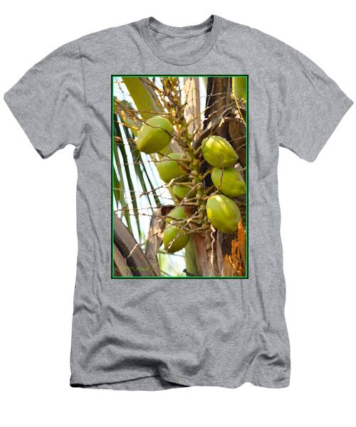 Green Coconut T-Shirt