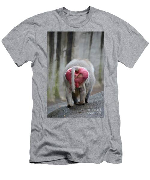 Hamadryas Baboon Bottom T-Shirt