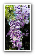Purple Flowering Tree Mother's Day Greeting Print