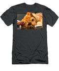 I Want To Watch Cat Woman T-Shirt
