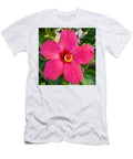 In The Pink In January In Bermuda T-Shirt