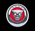 Jaguar Emblem Print