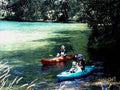 Kayaking With The Dog Print