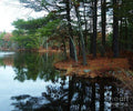 Kingsbury Pond, Medfield, Massachusetts Print