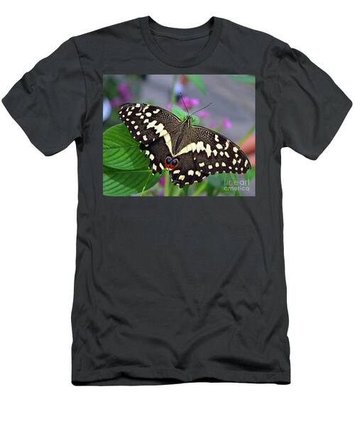 Lime Swallowtail Butterfly Papilio Demoleus Linnaeus T-Shirt
