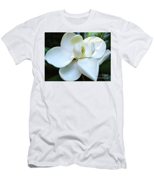 Magnolia Magnificence T-Shirt