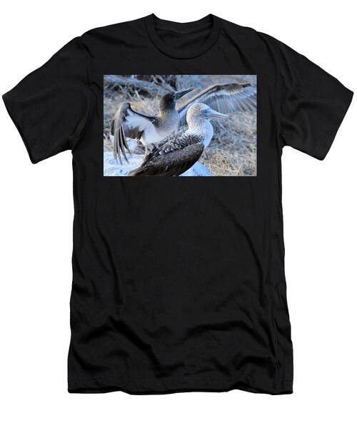 Male And Female Blue Footed Boobies In Mating Dance In Galapagos Islands Ecuador T-Shirt