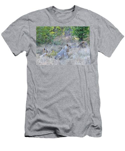 Male Lion With Juveniles Resting In Botswana Africa T-Shirt