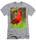 Male Northern Cardinal T-Shirt