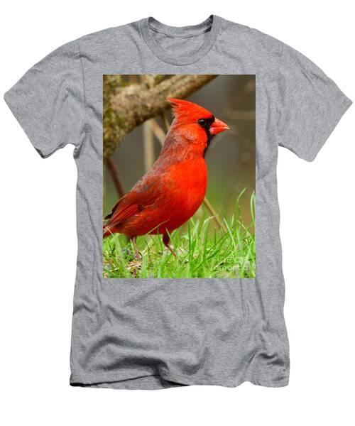 Male Northern Cardinal T-Shirt