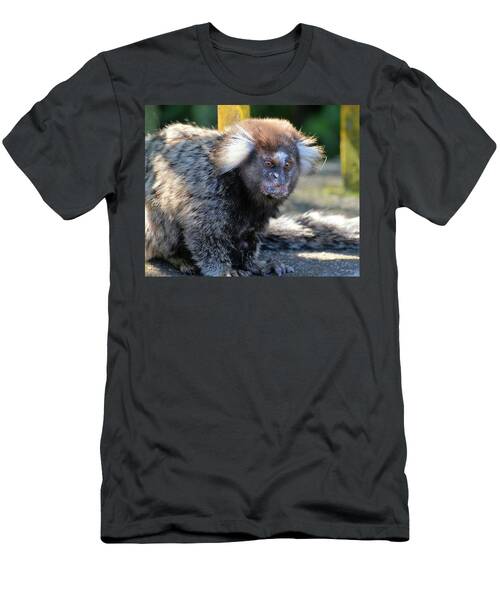 Marmoset Monkey Having A Bad Hair Day Brazil T-Shirt