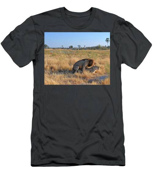 Mated Lion Pair Botswana Africa T-Shirt