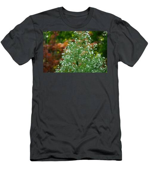 Michaelmas Daisy, In Bokeh Background T-Shirt