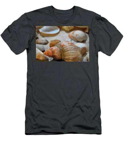 Mixed Sea Shells From The Nature Center At Turkey Creek Nature Preserve Florida T-Shirt