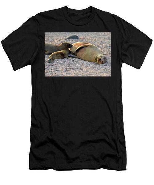 Mother Seal Feeding Her Pups Galapagos Islands Ecuador T-Shirt