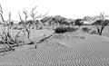 Namibian Desert Near Sossuvlei National Park With Dune Wind Pattern In Black And White Print