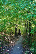 Nature Trail No. 28 Print