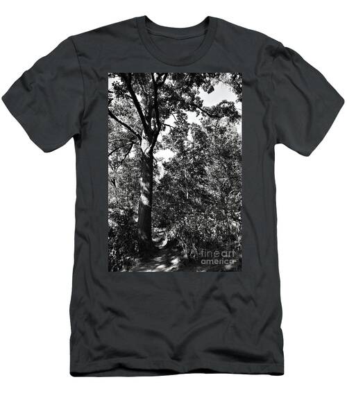 Nature Trail No. 6, In Black And White T-Shirt