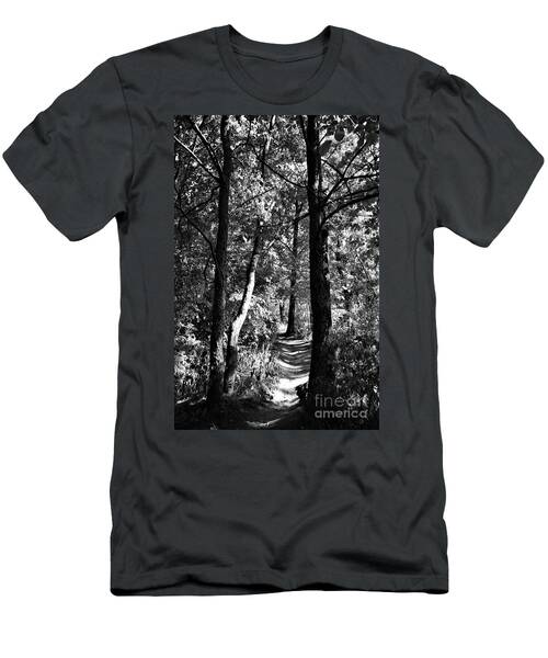 Nature Trail No. 7, In Black And White T-Shirt