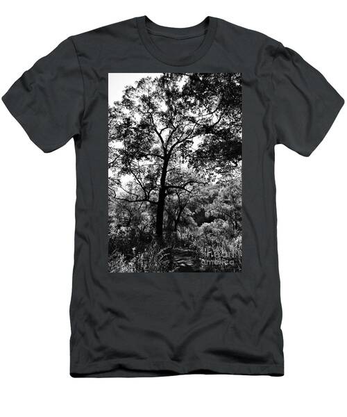 Nature Trail No. 8, In Black And White T-Shirt
