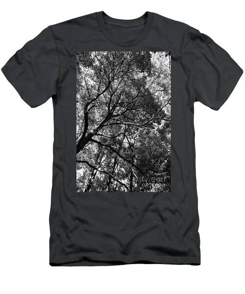 Nature's Canopy In Black And White T-Shirt