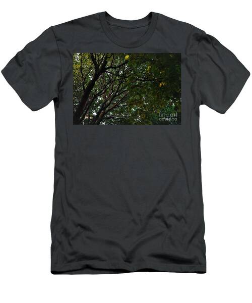 Nature's Canopy T-Shirt