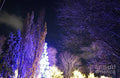 Night, Before The New Year Print
