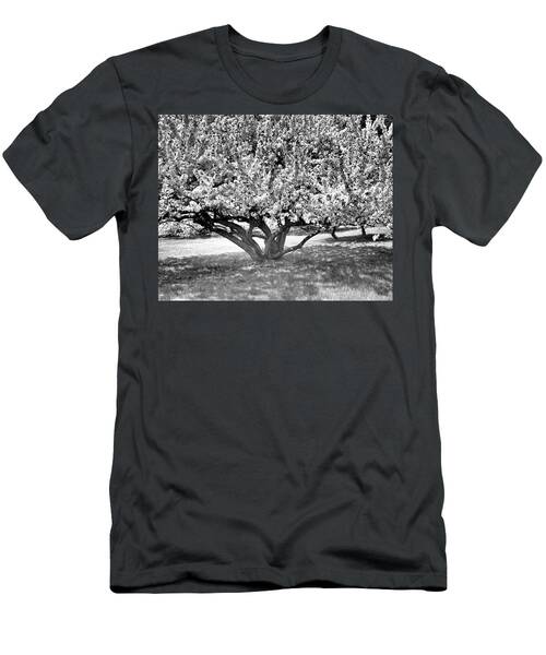 One Flowering Fruit Tree In Full Blossom In Spring In Black And White T-Shirt