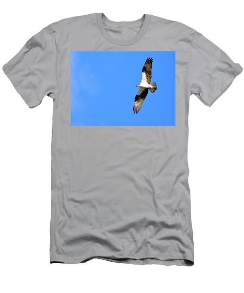 Osprey In Flight In Florida T-Shirt