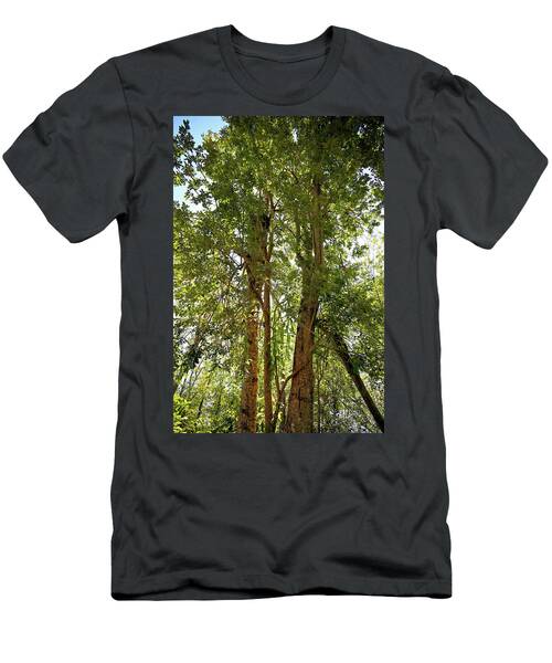 Pair Of Two Cottonwood Trees At Nisqually Delta Washinton T-Shirt