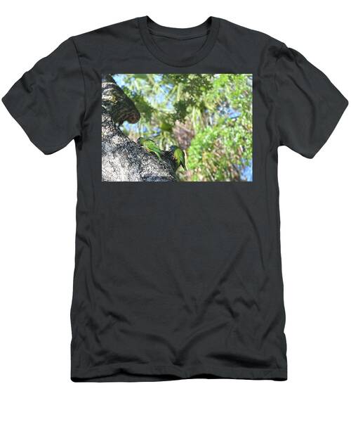 Pair Of Wild Escapee Parakeets In Melbourne Florida T-Shirt