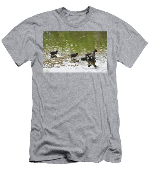 Parent Moorhen With Chicks At Orlando Wetlands Near Christmas Florida T-Shirt