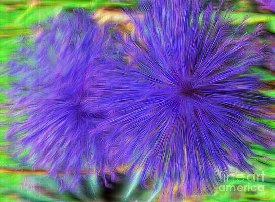 Purple Flowers Print