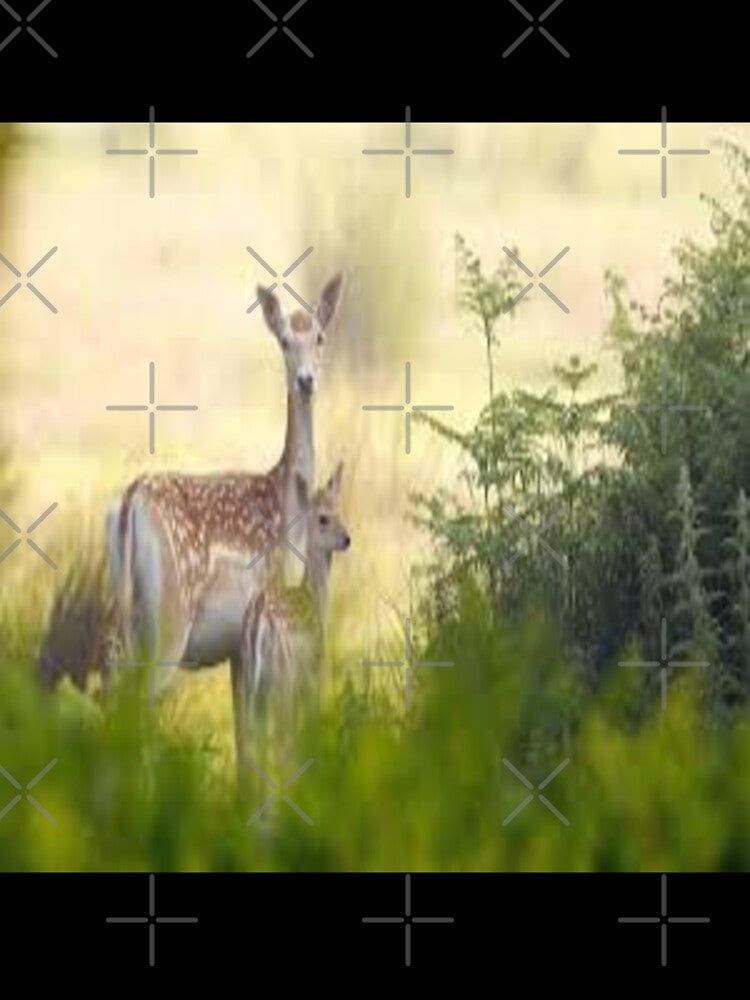 Well designed deer with good weather by Sameer Shrivastava