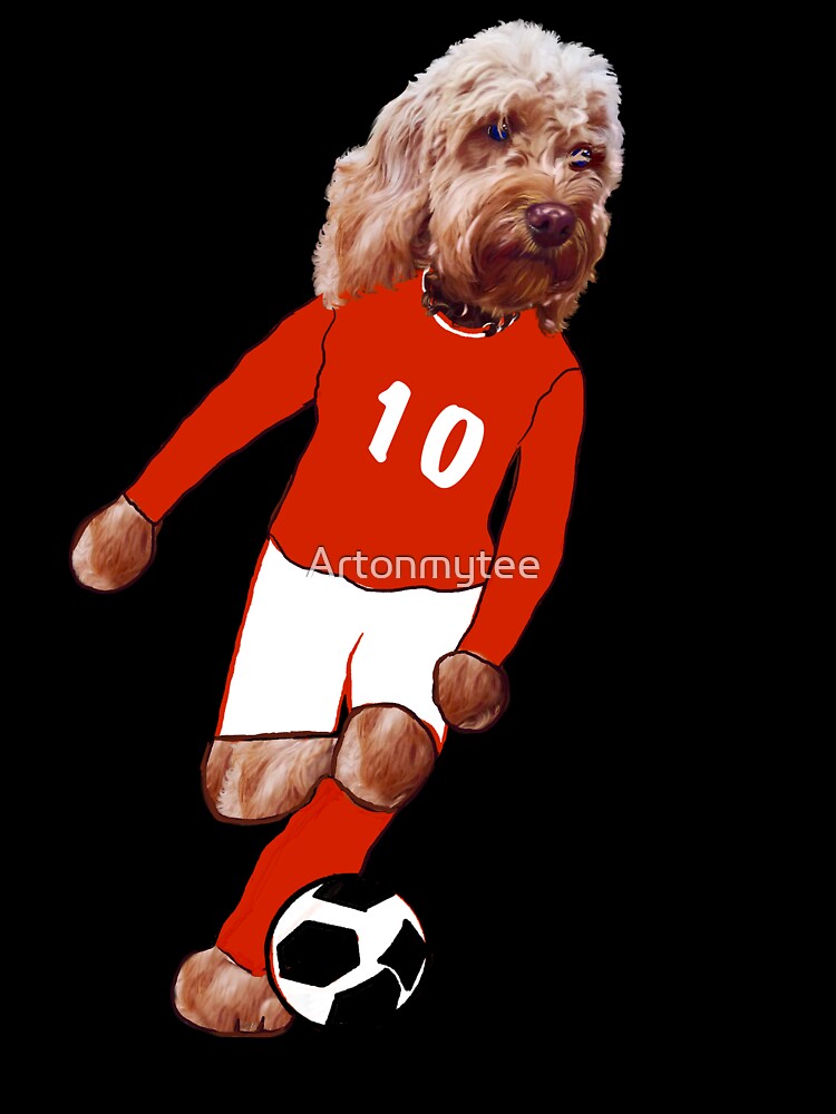 Cavapoo football - Soccer playing  Cavapoo  Cavoodle puppy dog  - cavalier king charles spaniel poodle, puppy love by Artonmytee