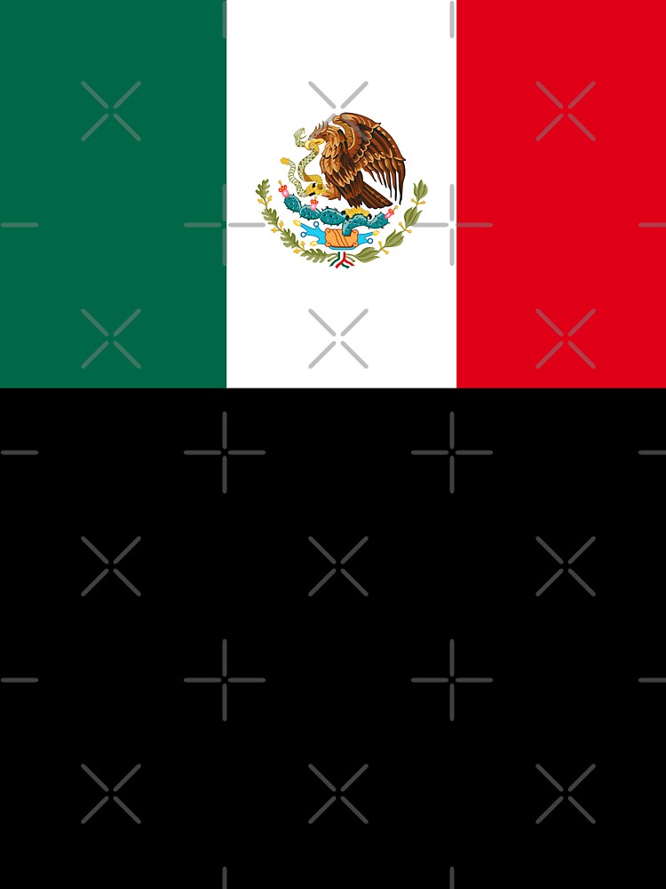 Flag of Mexico - Bandera de México High Quality Image by Picturestation