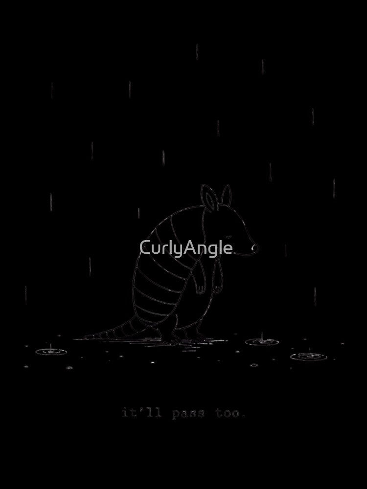 it’ll pass too. — Minimalist Armadillo Rain by CurlyAngle