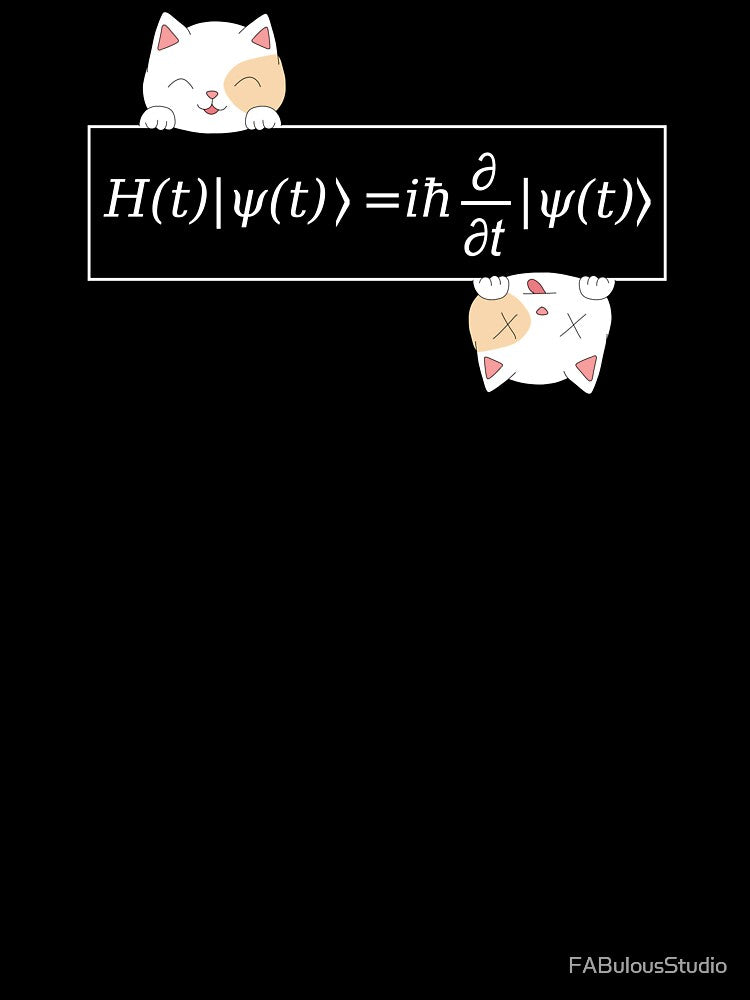 Schrödinger Equation, cat dead and alive, quantum mechanics by FABulousStudio