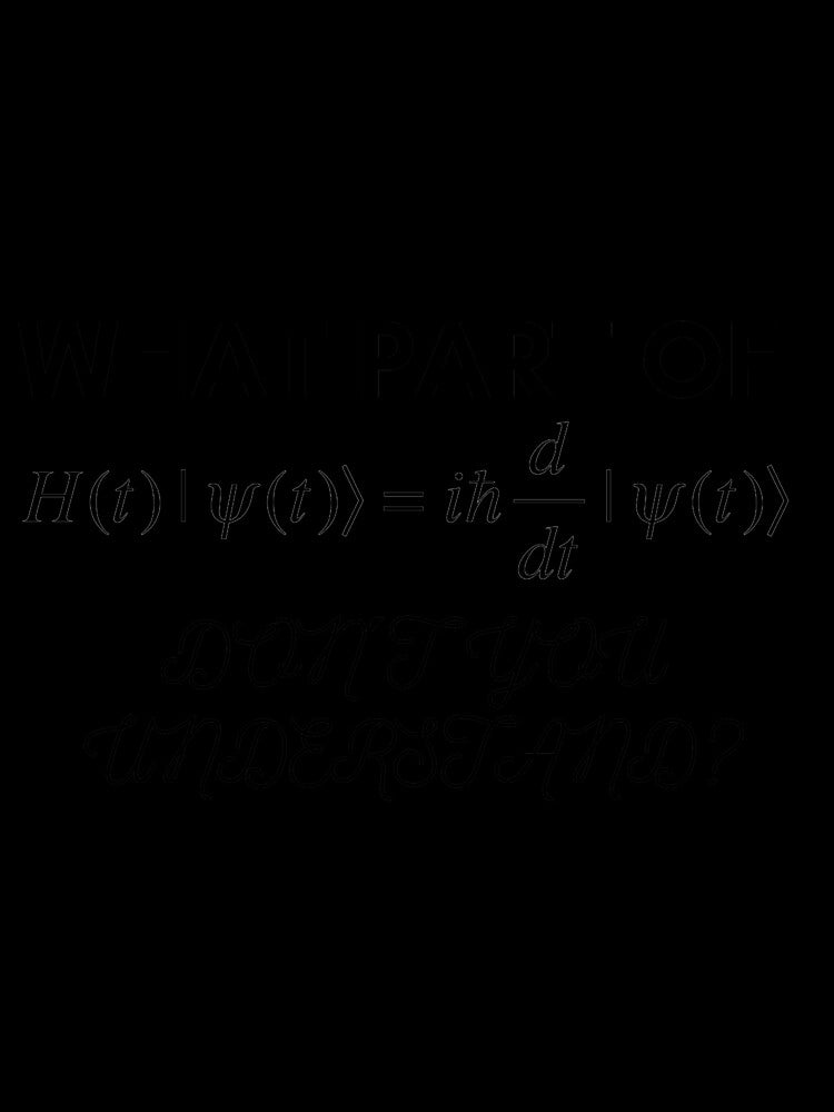 #5 : funny Schrodinger equation design by Rebelabel