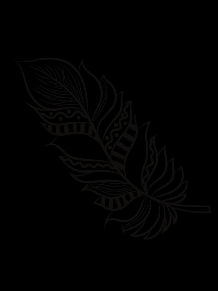 Bohemian Feather Design Black & White by Immadman