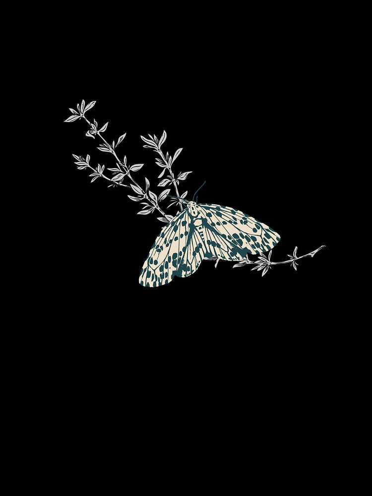 Minimal Moth Botanical Gothic Aesthetic by GraveyardGlam