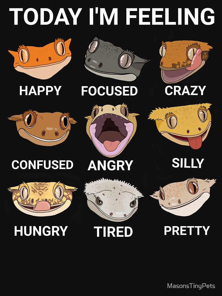 Today I'm Feeling... Crested Gecko by MasonsTinyPets